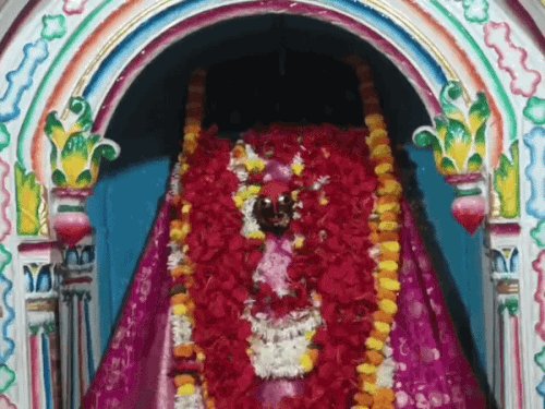 नवमी पर सिद्धिदात्री के दरबार में उमड़े श्रद्धालु:दर्शन को लगी लंबी कतार,पुजारी बोले-सभी सिद्धियों को प्रदान करती है माता