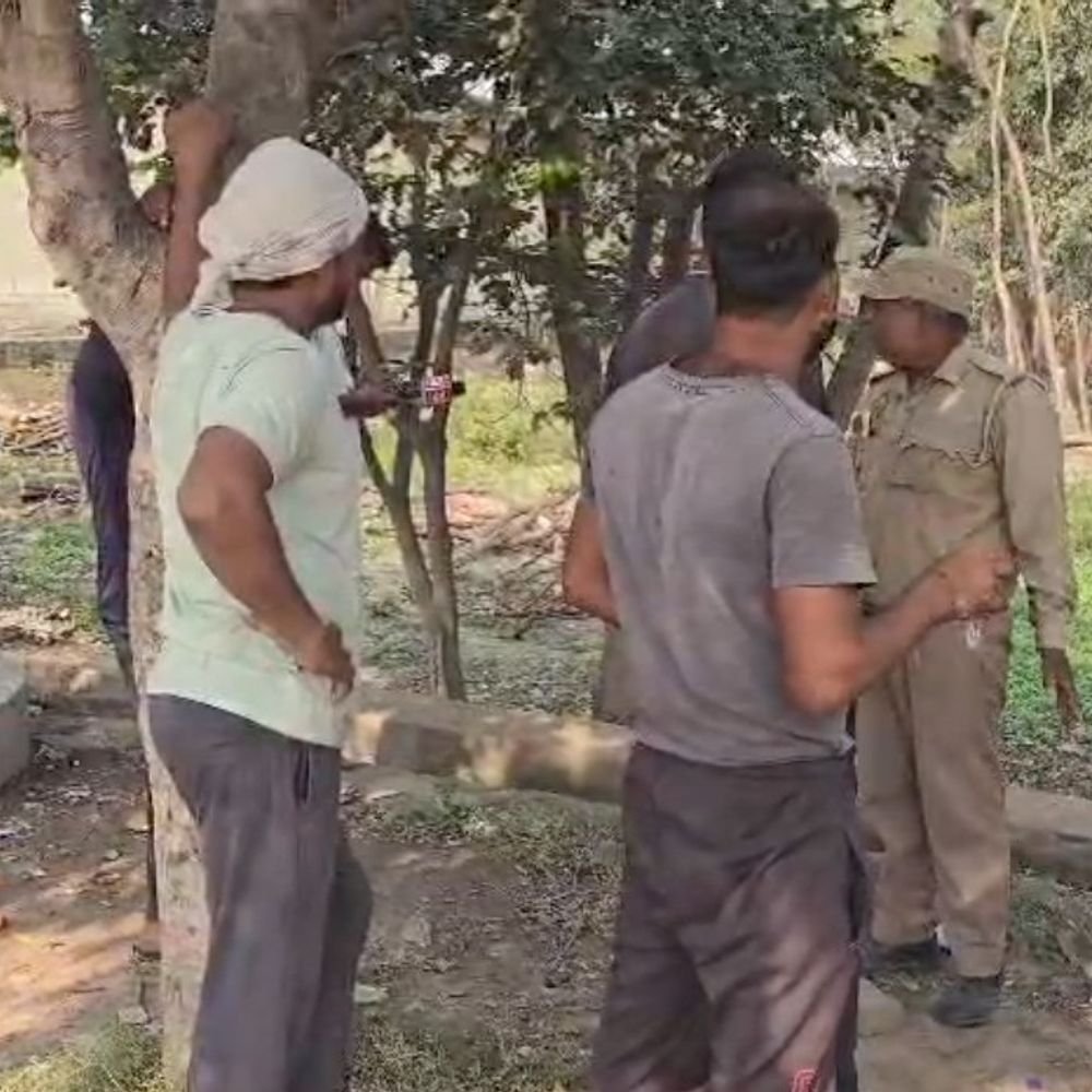 बिना अनुमति के दर्जनों हरे पेड़ काटे गए:बुलंदशहर में वन विभाग ने 6 लोगों को हिरासत में लिया, 2 कटर भी बरामद