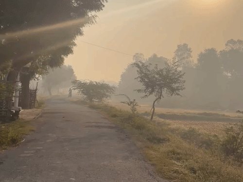 प्रयागराज में AQI 220 के पार, धुप के साथ धुंध:रात में ओस और कोहरे से बढ़ रही ठंडक, न्यूनतम तापमान 21 डिग्री