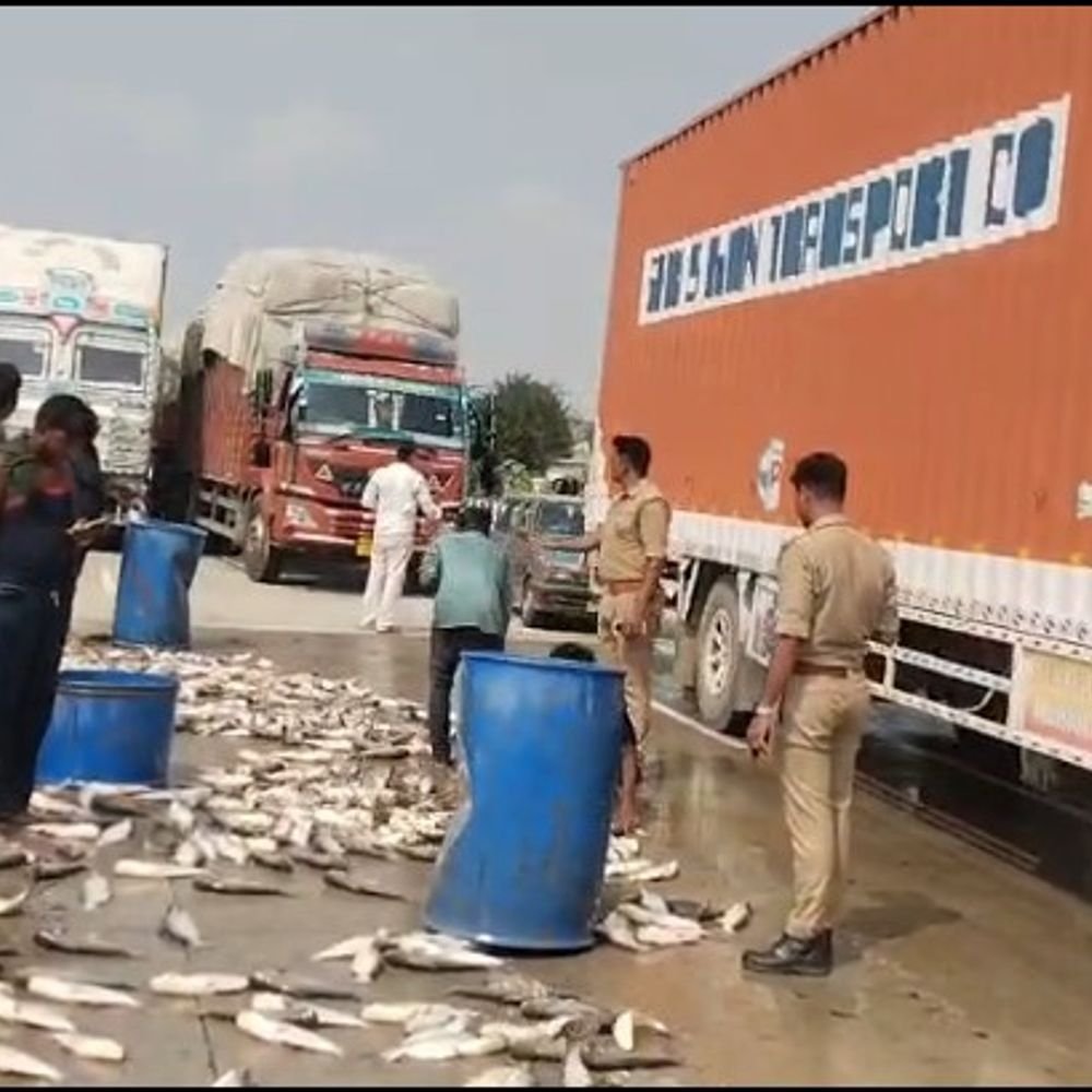 कन्नौज में टायर फटने से मछली भरा लोडर पलटा:5 कुंतल मछली सड़क पर फैली, गुरसहायगंज जा रहा था लोडर
