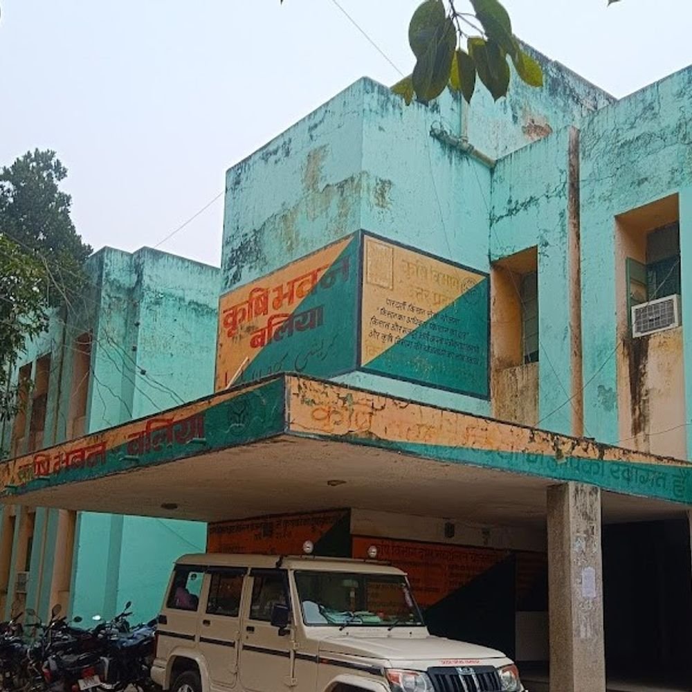 बलिया में चक्रवाती तूफान से बेमौसम बारिश की आशंका:कृषि विभाग ने किसानों को सतर्क किया, धान की कटाई जल्द करने की अपील