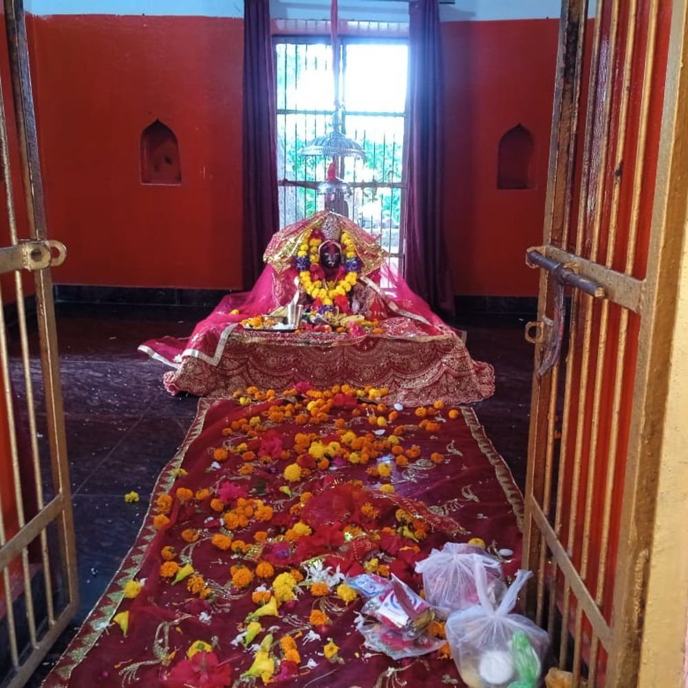 भद्रकाली धाम में उमड़ा आस्था का सैलाब:श्रद्धालुओं ने सुख-समृद्धि और खुशहाली की कामना की