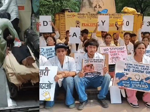 देश के प्रतिष्ठित IVRI में अनशन का 9वां दिन:एक छात्रा की हालत बिगड़ी, Gen-Z डॉक्टर्स ₹25 हजार स्टाइपेंड की कर रहे मांग