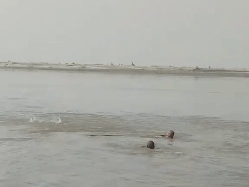प्रयागराज में रामनवमी पर गंगा में डूबे 2 लोग:एक-दूसरे को बचाने में 4-5 लोग तेज बहाव में फंसे, दो की तलाश जारी