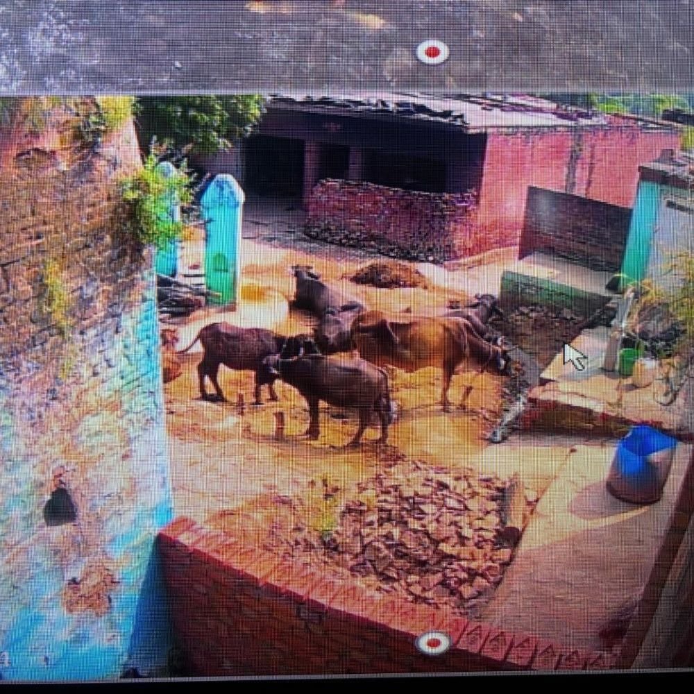 दबंगों ने दीवार बनाकर बंद किया रास्ता:औरैया में विरोध करने पर महिला से मारपीट, 5 दिन बाद भी नहीं मिला न्याय