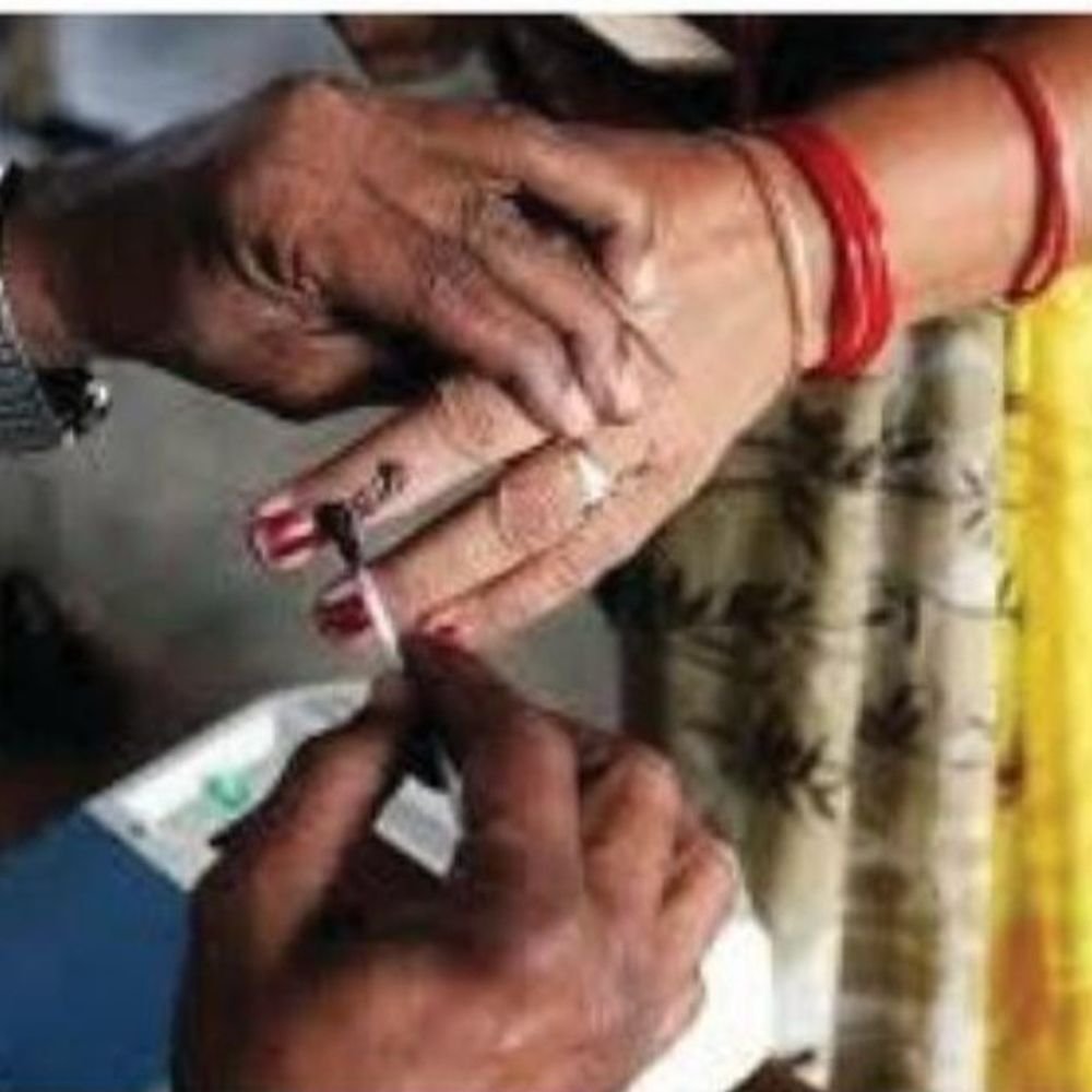 पंचायत चुनाव 3 माह में- क्या बोले वकील और याचिकाकर्ता:यूपी सरकार- इलेक्शन कमीशन को आदेश, मुख्य याचिकाकर्ता खुद वकील