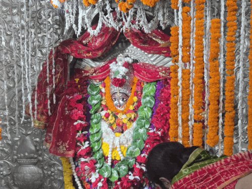 आजमगढ़ के दक्षिणमुखी काली मंदिर में उमड़ी भक्तों की भीड़:नवमी पर हवन-पूजन के बाद व्रत खोल रहे श्रद्धालु, 200 साल पुराना है मंदिर