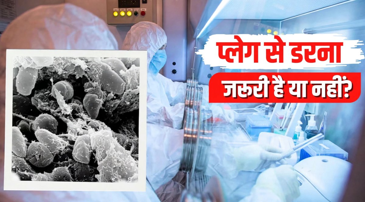 क्या रूस में प्लेग का मामला नई महामारी बनेगा? कितना खतरनाक और कैसे बचें