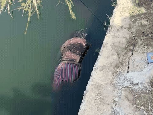 दो दिन से लापता महिला का शव नाले में मिला:मायके वालों ने ससुर सहित तीन पर लगाया हत्या का आरोप