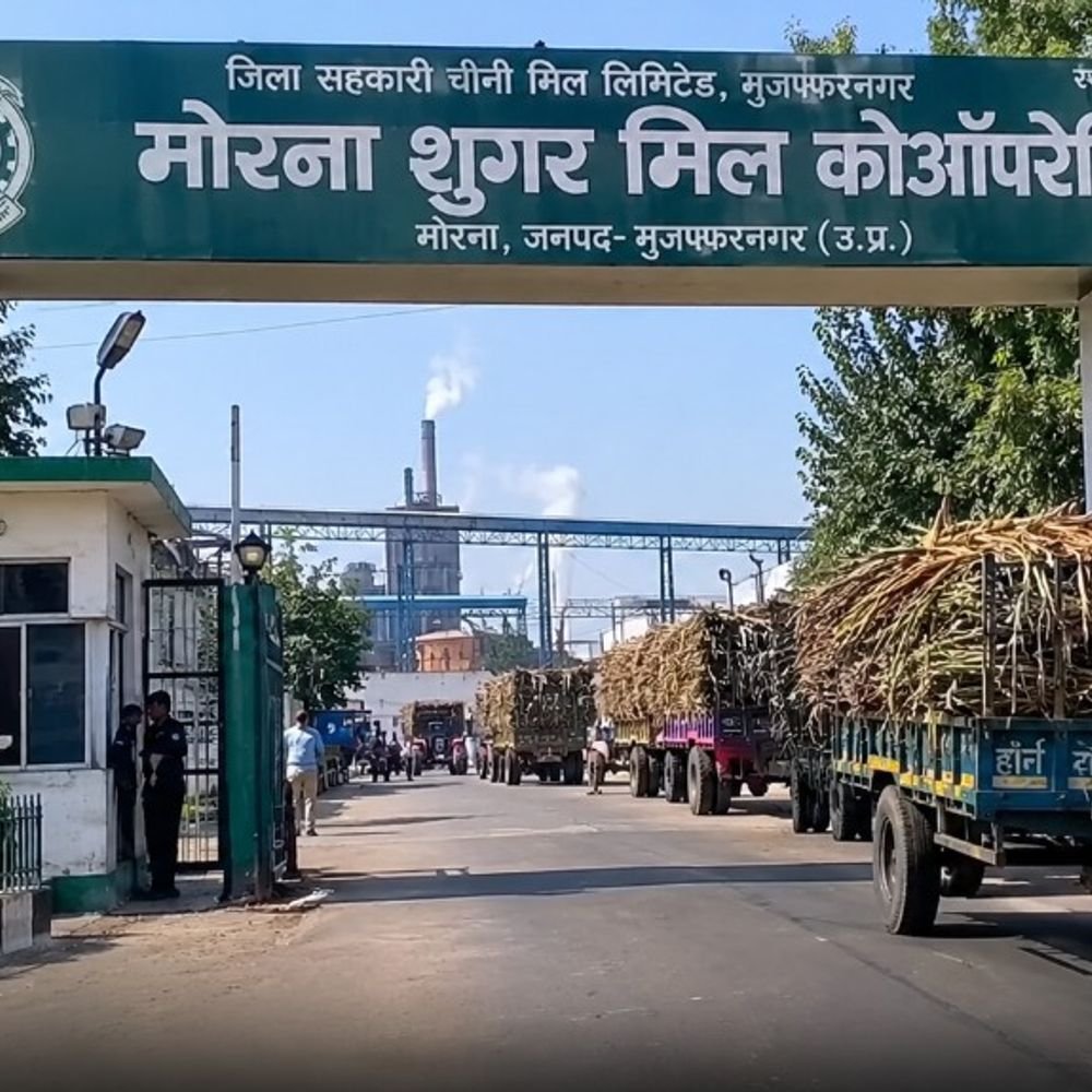 मोरना चीनी मिल में 28 अक्टूबर से गन्ना आना शुरू:नए पेराई सत्र से पहले जिला पंचायत अध्यक्ष ने परखी व्यवस्था, किसानों को नहीं होगी परेशानी