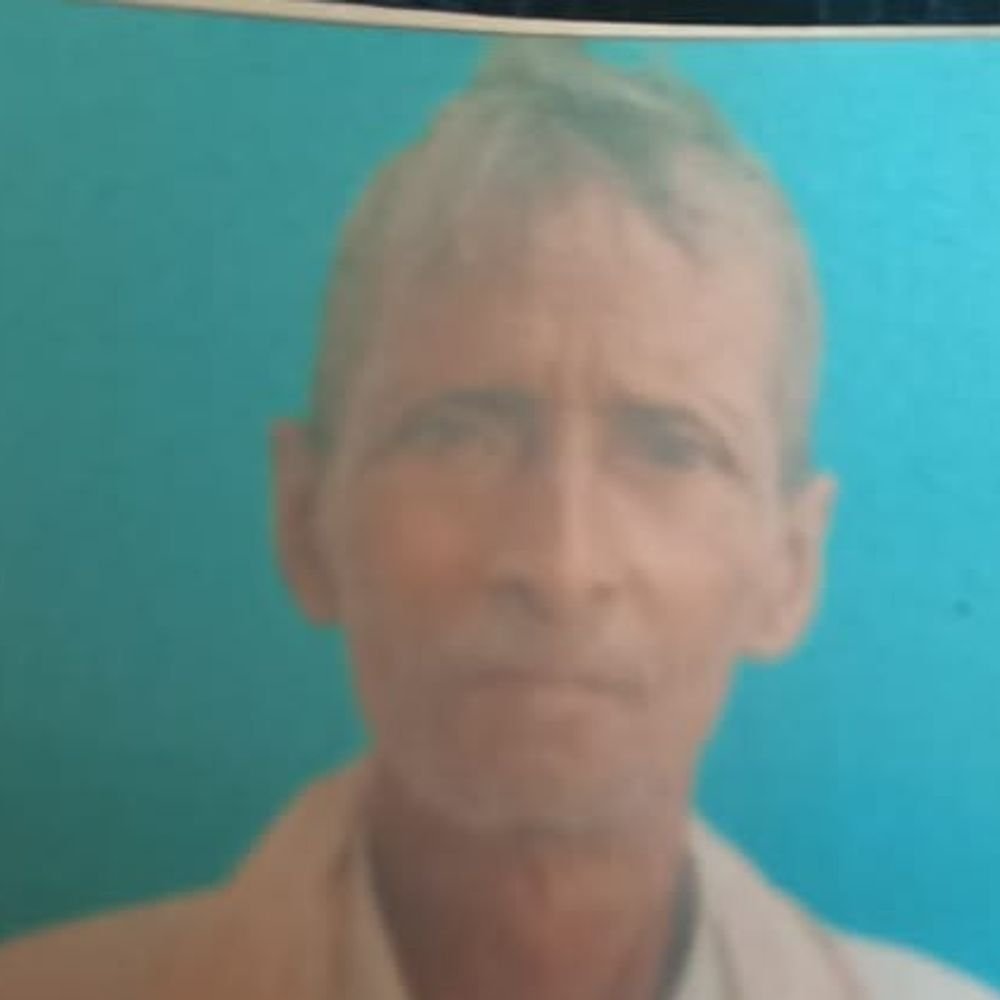 पालतू भैंस ने किसान को रौंदा, मौत:बदायूं में काम से जाते समय भैंस ने मारी टक्कर, 1 दिन पहले हुई थी घटना