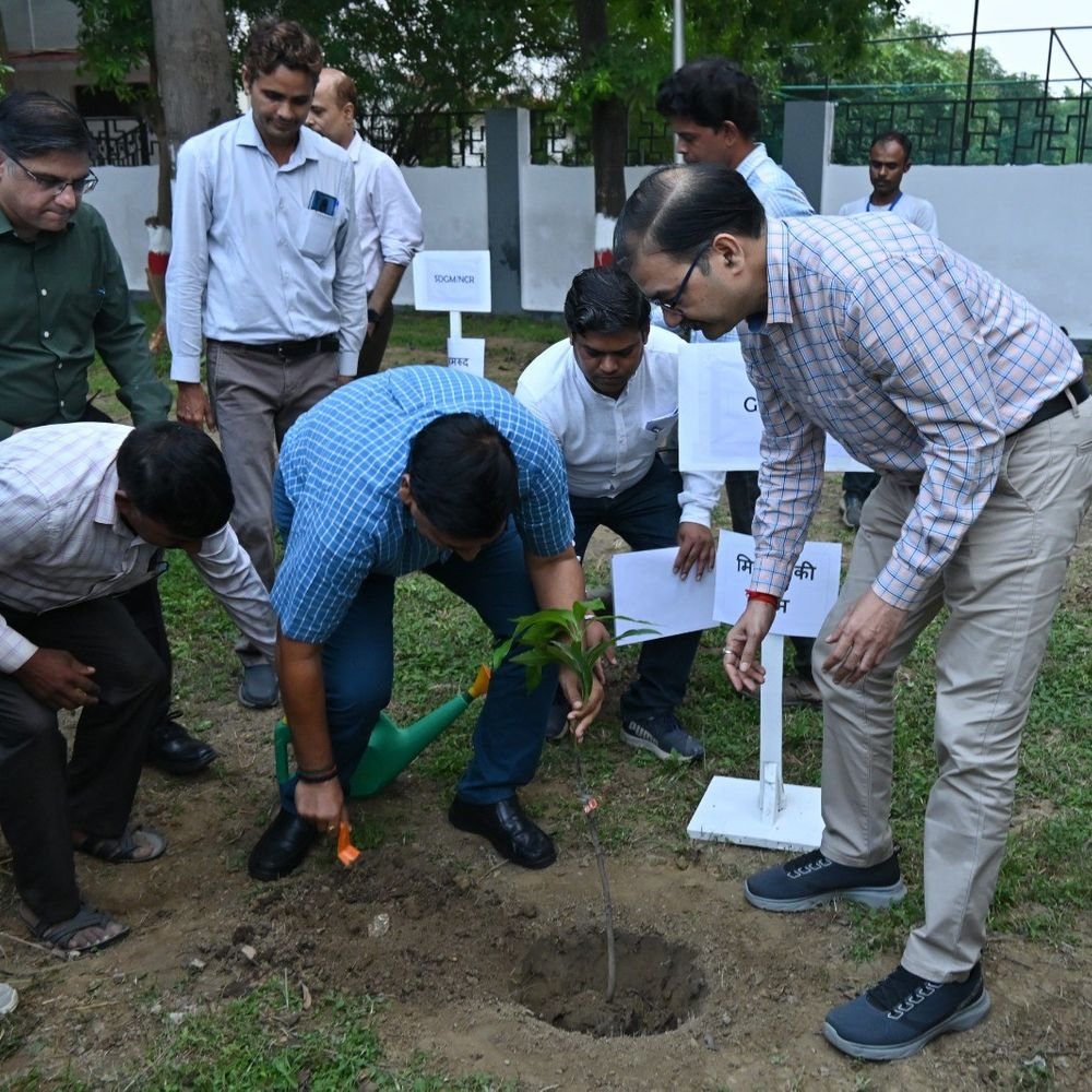 उत्तर मध्य रेलवे ने लगाए 1.11 करोड़ से ज्यादा पौधे:'एक पेड़ मां के नाम' अभियान के तहत, प्रयागराज मंडल सबसे आगे; 2 करोड़ का लक्ष्य