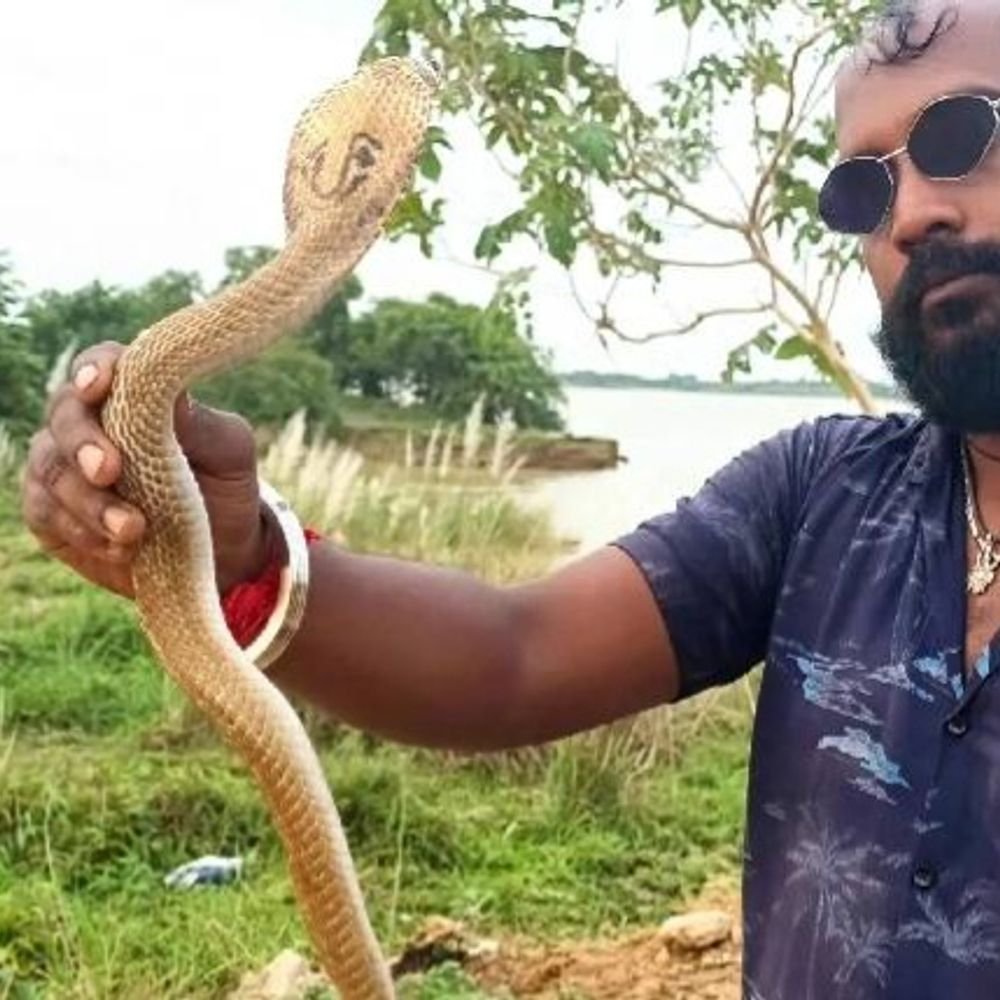 रील बनाने के चक्कर में ओडिशा में 2 मौतें:बौध में ट्रेन से टकराया लड़का; पुरी में सांप पकड़ने वाले को कोबरा ने कई बार डसा