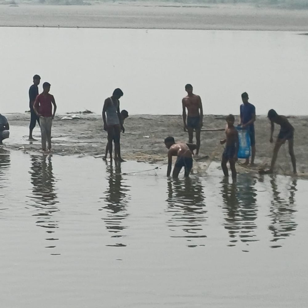 बागपत में यमुना किनारे हजारों मछलियां मरी मिलीं:दूषित पानी से मौतें; चरमशोधक इकाइयों का गंदा पानी नदी में जाने से समस्या