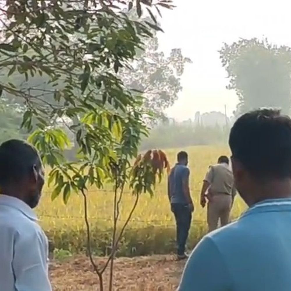 80 साल के बुजुर्ग धान के खेत में लहूलुहान मिले:हालत गंभीर होने पर सैफई पीजीआई रेफर, पुलिस जांच में जुटी