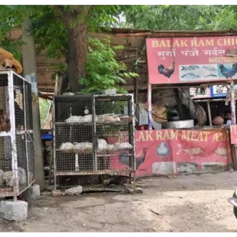 वाराणसी में आज से मांस-मछली की बिक्री पर पूर्ण प्रतिबंध:16 दिन की बंदी, नवरात्र के तुरंत बाद वायु सेना का एयर शो, 26 अक्टूबर तक बंद रहेंगी दुकानें