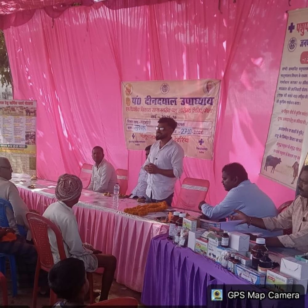देवरिया में पंडित दीन दयाल उपाध्याय पशु आरोग्य मेला:जमुना छापर में पशु आरोग्य मेले में 388 पशुओं का निःशुल्क उपचार