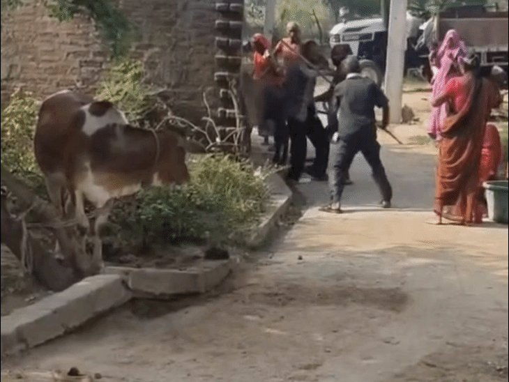 जमीन विवाद में लाठी-डंडों, फावड़े और पेचकस से हमला:महोबा में भाई, भाभी और भतीजे ने युवक को पीटा, खेत में सफाई के दौरान हुआ विवाद
