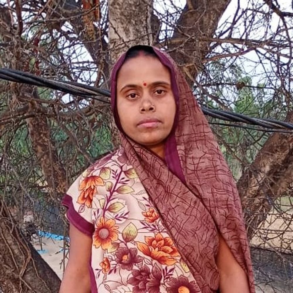 गड्ढे में जाने से बाइक अनियंत्रित, महिला की मौत:कन्या भोज के लिए गांव लौट रही थी मां, बेटा घायल