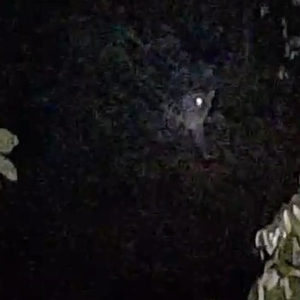 पीलीभीत में मुर्गी फार्म के पास दिखा बाघ, VIDEO:खेतों में जाने से डर रहे किसान; ग्रामीणों ने वन विभाग से निगरानी बढ़ाने की मांग की