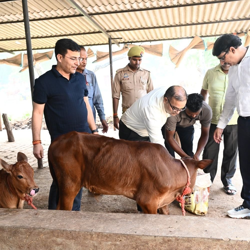 काशी विश्वनाथ न्यास ने हनुमान मंदिर का निरीक्षण किया:गौशाला में सुविधाओं, व्यवस्थाओं की समीक्षा कर अधिकारियों को दिए निर्देश