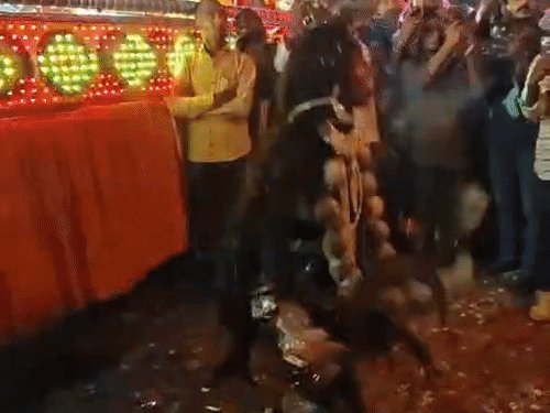 प्रयागराज के सिविल लाइंस में दशहरे की धूम:रामदल और चौकियों को देखने उमड़ी भीड़...VIDEO