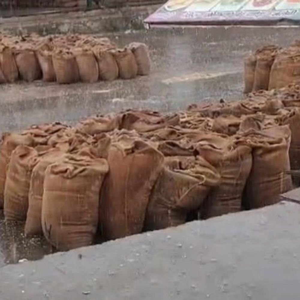 मथुरा में मौसम ने ली करवट:सुबह से हो रही रिमझिम बारिश, ठंडी हवा चलने से तापमान में आई गिरावट