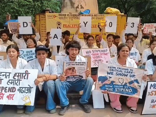 आईवीआरआई में स्टाइपेंड बढ़ाने की मांग पर अड़े Gen-Z डॉक्टर्स:देश के शीर्ष वेटरनरी संस्थान में 150 छात्रों का धरना, 25 हजार स्टाइपेंड की मांग