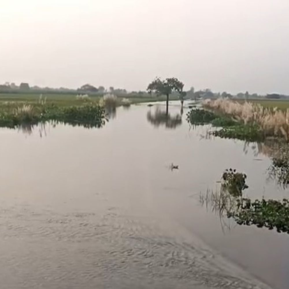 सीतापुर: बाढ़ के पानी में डूबने से किसान की मौत:खेत देखने गए 51 साल के किसान पोते के सामने डूबे, राहगीरों ने निकाला पर जान नहीं बची,