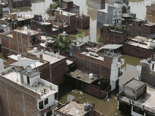 कांग्रेस प्रदेश अध्यक्ष ने सीएम को लिखा पत्र:फैजुल्लागंज में बाढ़ प्रभावित इलाकों में फसलों के नुकसान का आकलन कर मुआवजा दें