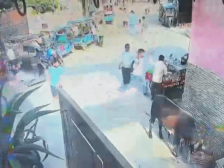 नोएडा में जूस विक्रेता को टोकना पड़ा भारी:दो लोगों ने गिराकर पीटा, दूध की डोलची से भी मारा, गाय को रोटी देने का है मामला