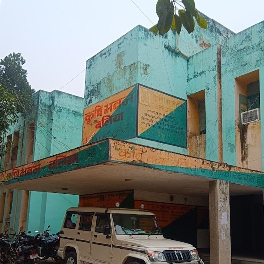 किसानों को दलहनी फसलों के बीजों पर मिलेगा अनुदान:बलिया में कृषि विभाग की अपील, उठाएं योजना का लाभ