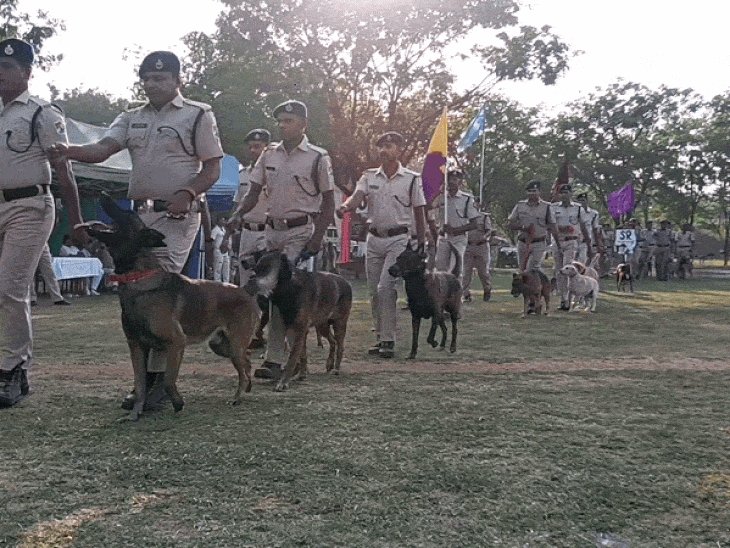 'मैक्स ने खोला ब्लाइंड मर्डर, कैसर ने पकड़ा बारूद:झांसी RPF के DOG MEET में पहुंचे 70 डॉग, आज हुनर दिखाएंगे