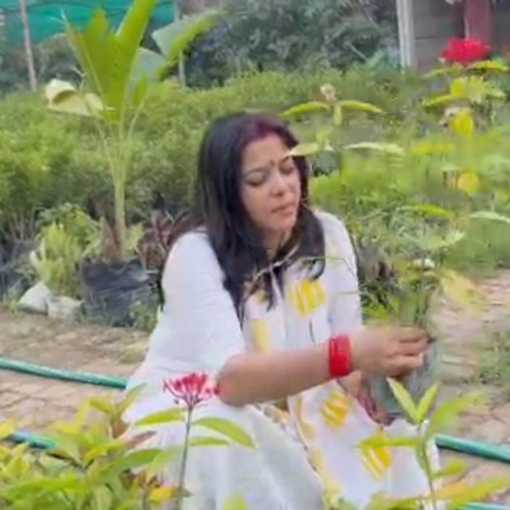 औषधीय पौधों की बागवानी कर फ्री में बांट रही शालिनी:देवरिया में लोगों को कर रहीं जागरूक, पर्यावरण संरक्षण का दे रहीं संदेश
