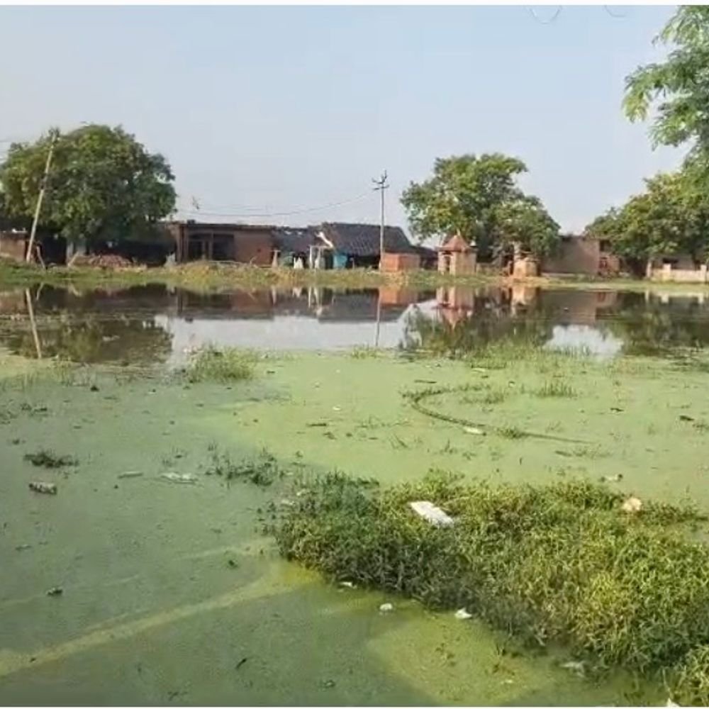 कानपुर देहात के रनिया डेरा में दो महीने से जलभराव:600 की आबादी गंदे पानी के बीच रहने को मजबूर, बीडीओ बोले- टीम भेजेंगे