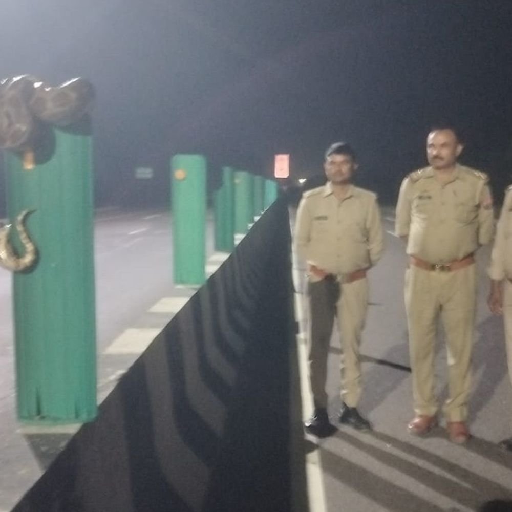 हरदोई में आधी रात हाईवे पर निकला अजगर:वन विभाग की टीम ने किया रेस्क्यू, प्राकृतिक आवास में छोड़ा