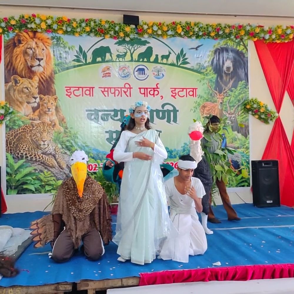 इटावा सफारी पार्क में वन्य प्राणी सप्ताह का समापन:1360 बच्चों ने प्रतियोगिताओं में लिया हिस्सा, छात्र-छात्राओं को किया सम्मानित