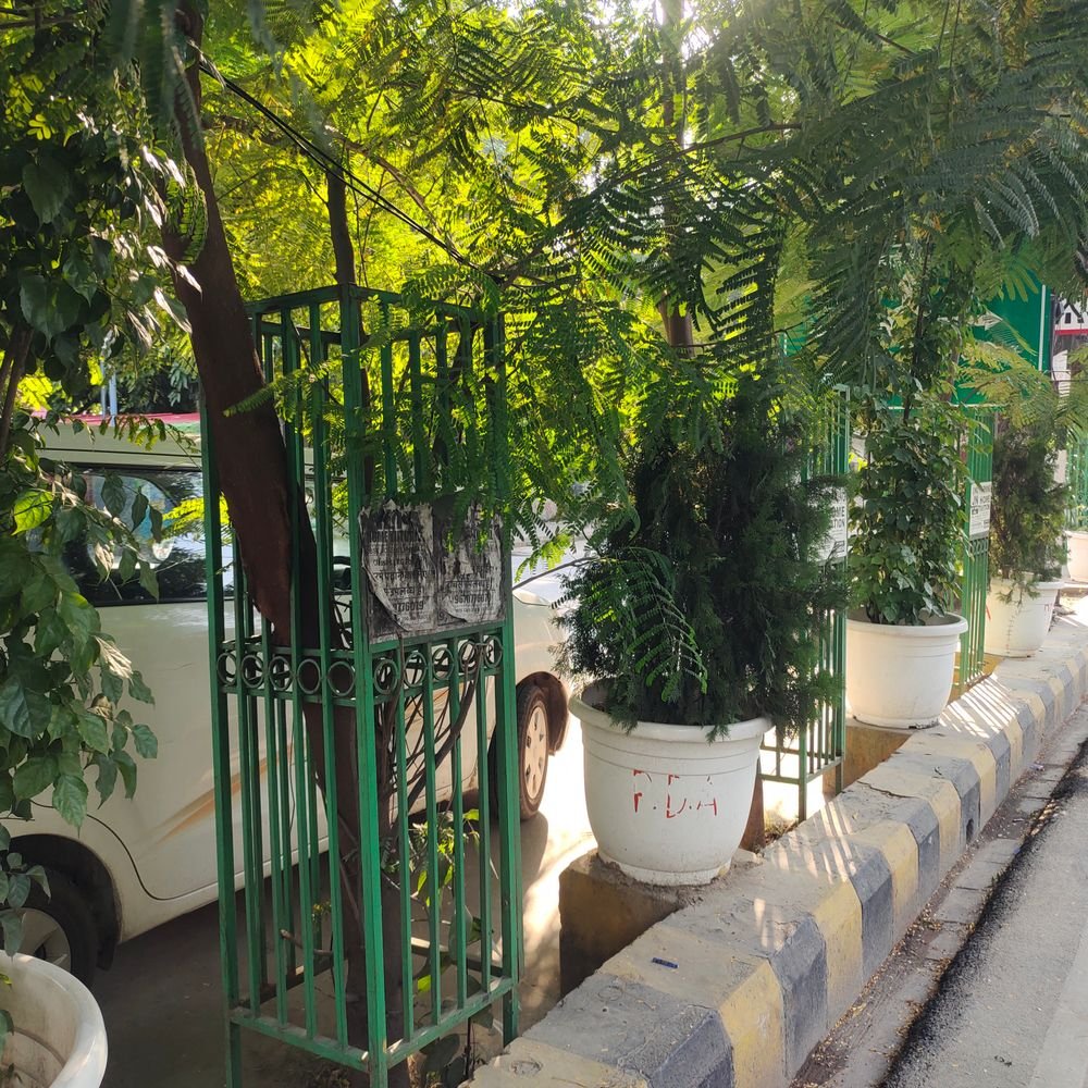 प्रयागराज में ग्रीन बेल्ट की देखभाल करेंगे बैंक:PDA ने CSR फंड से पौधों के रखरखाव की जिम्मेदारी लेने की अपील की