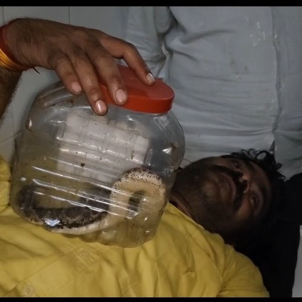 बांदा में सांप काटने पर सांप लेकर अस्पताल पहुंचा युवक:शराब के नशे में बोला, डिब्बे में बंद इसी सांप ने मुझे कांटा