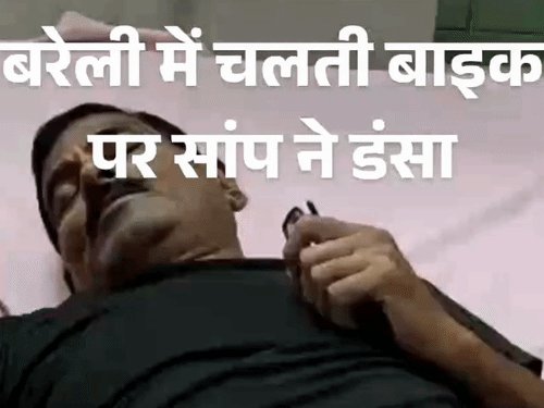 बरेली में चलती बाइक पर सांप ने डंसा, हालत नाजुक:बाइक सीट के नीचे छिपा था, 2 महीने में सवा सौ सर्पदंश के मामले आए सामने