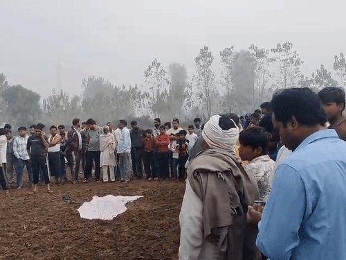 सहारनपुर में आवारा कुत्तों को बच्चें को मारा डाला:रात को घर से खेलने निकला था, रातभर नोचते रहे, सुबह को शव खेत में मिला