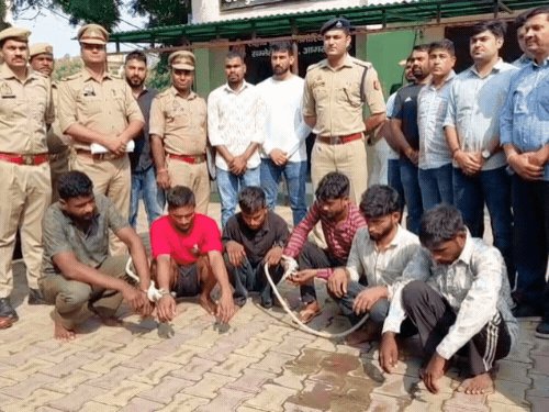 जानवरों की आवाज निकालकर चोरी करने वाला गिरोह पकड़ा:5-5 लोगों की टोली बनाकर घरों को बनाते थे निशाना, सोने-चांदी के आभूषण और नकदी बरामद