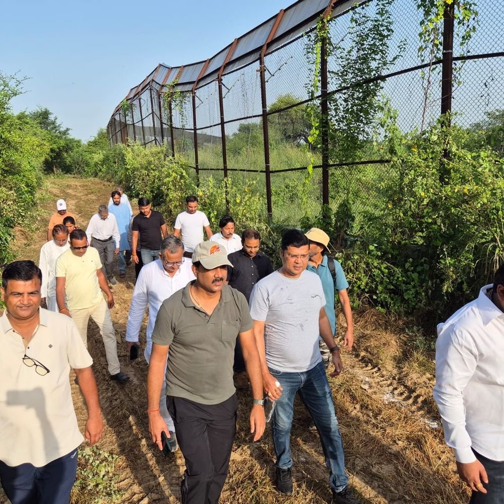 सफारी पार्क में नेचर वॉक आयोजित:वन्यजीव संरक्षण का दिया संदेश, पेड़-पौधों और पक्षियों की दी जानकारी