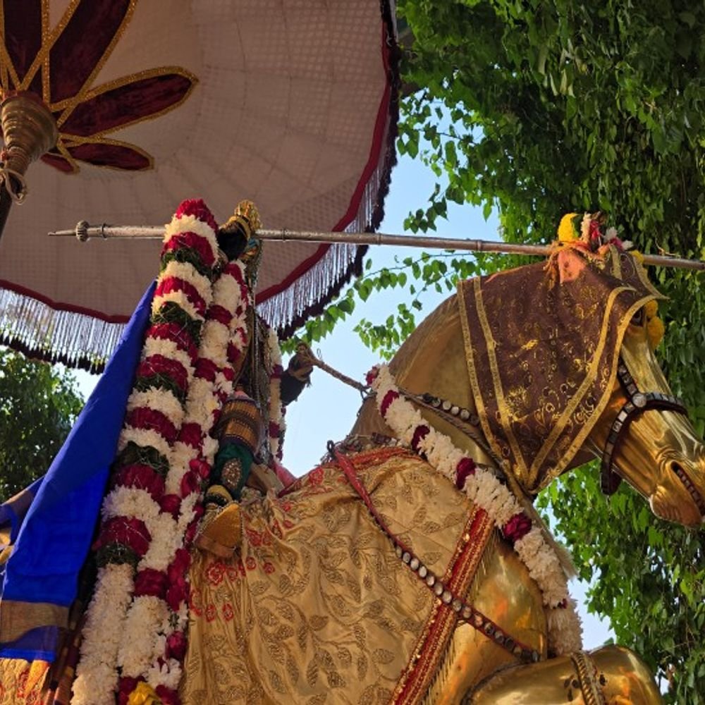 विजय दशमी पर भगवान रंगनाथ ने किया शमी का पूजन:सोने के घोड़े पर विराजमान होकर निकली प्रभु की सवारी,भक्तों ने लगाए जयकारे