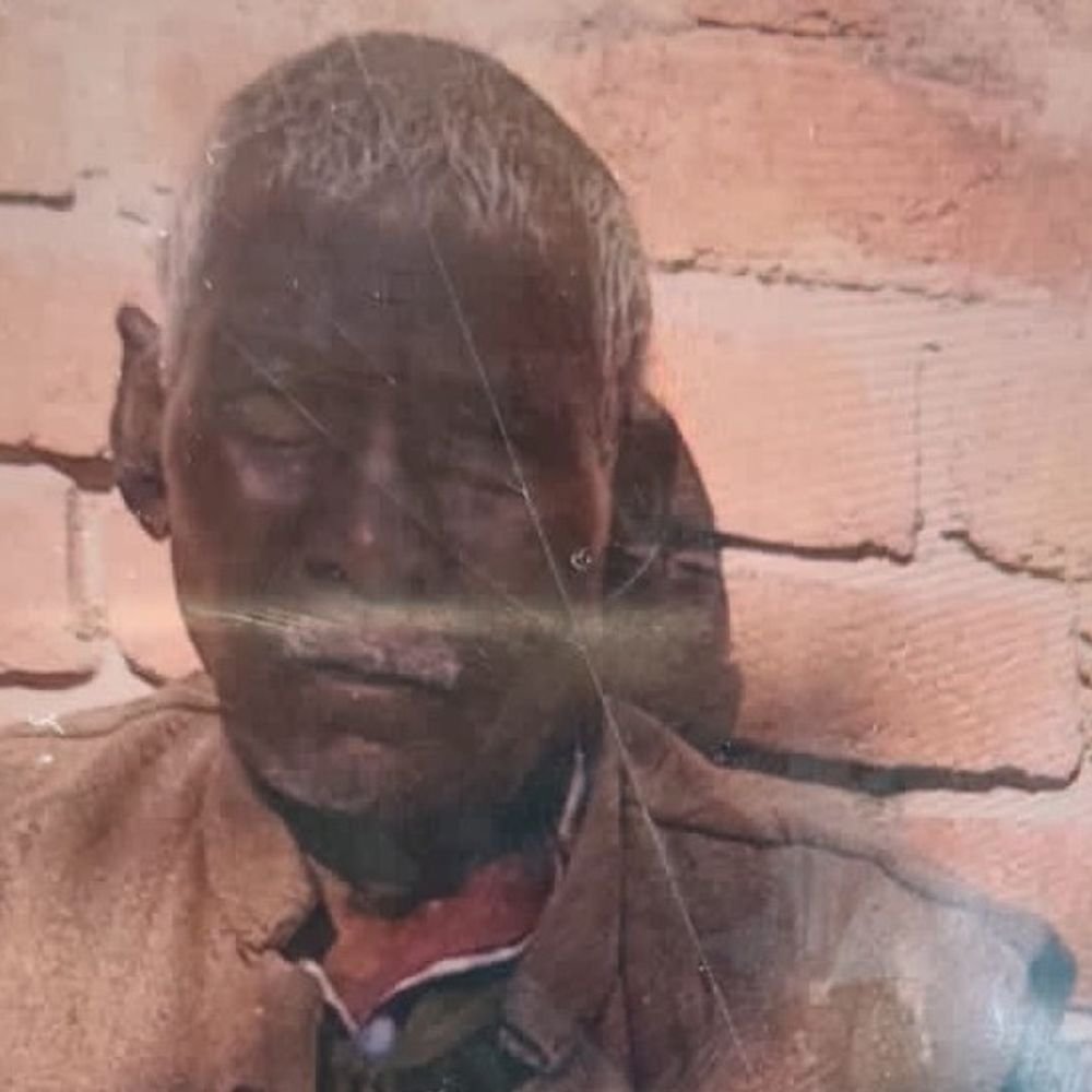 प्रतापगढ़ में मधुमक्खियों के हमले से वृद्ध की मौत:बचाने पहुंचे तीन लोग भी घायल, अस्पताल ले जाते समय रास्ते में तोड़ा दम