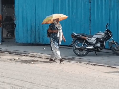 दिन में गर्मी, रात में हल्की ठंडक:दिन-रात के पारे में 10 डिग्री का अंतर, मौसम दिखा रहा दो रंग