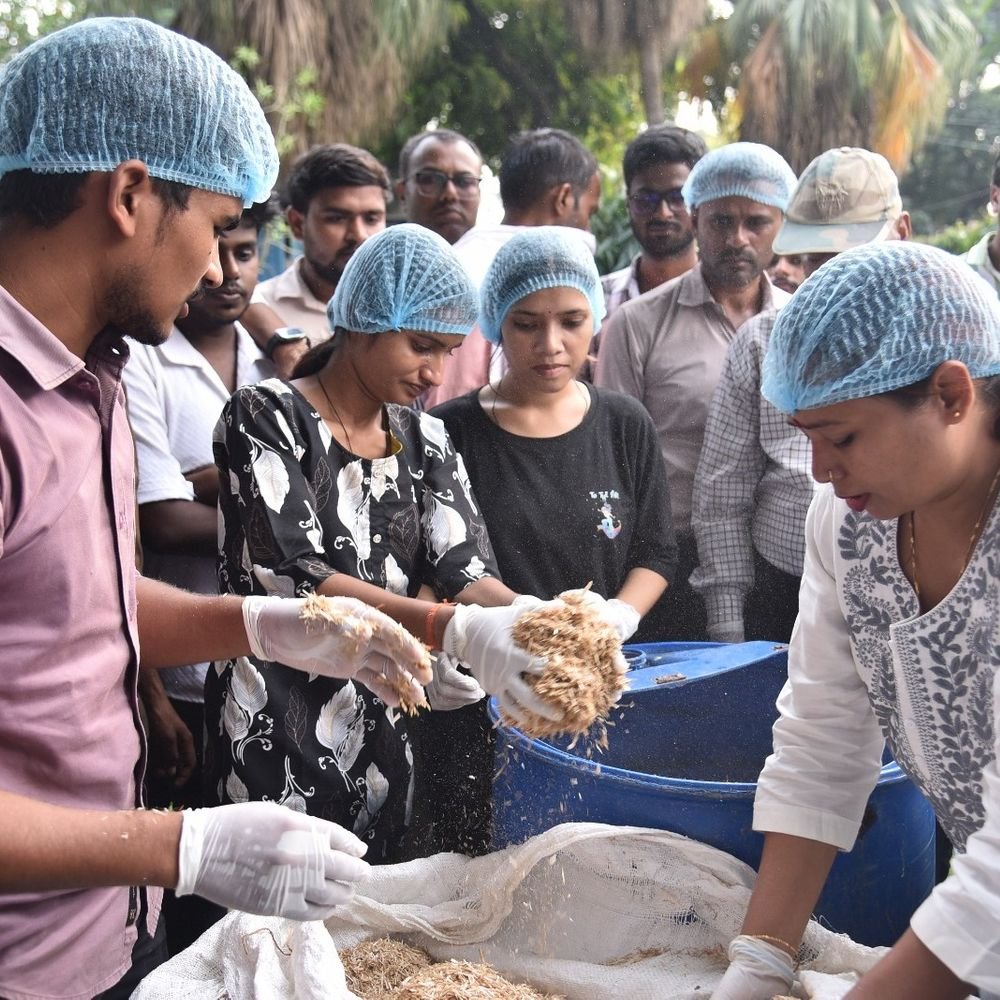 प्रयागराज में 64 युवा ले रहे मशरूम उत्पादन का प्रशिक्षण:स्वरोजगार के लिए मिलेगा 12 लाख रुपये तक का अनुदान, शुरू कर सकेंगे बिजनेस