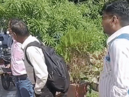 एमएलसी चुनाव के लिए पोलिंग पार्टियां रवाना:बरेली-मुरादाबाद खंड शिक्षक निर्वाचन कल, सुबह 8 से शाम 4 बजे तक होगा मतदान