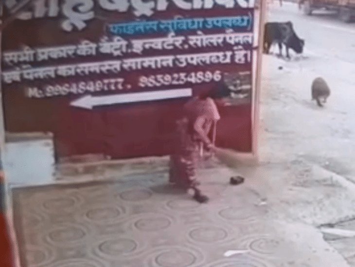 झाड़ू लगा रही महिला पर बंदर ने किया हमला:हैदरगढ़ में घर के बाहर कर रही थी सफाई, घटना CCTV में कैद