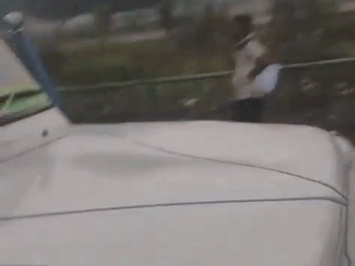प्रयागराज से MP तक गोवंश सप्लाई का नेटवर्क:रैकेट का भंडाफोड़, गायों को पिकअप में ठूंसकर रीवा ले जा रहे तीन तस्कर गिरफ्तार